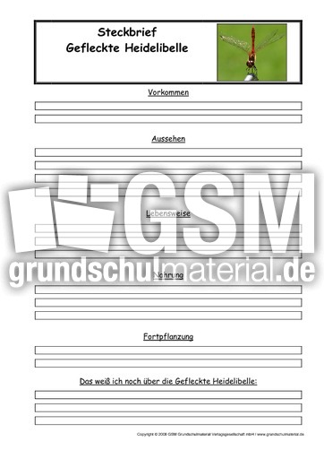 Gefleckte-Heidelibelle-Steckbriefvorlage.pdf